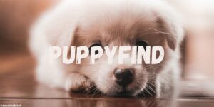 puppyfind