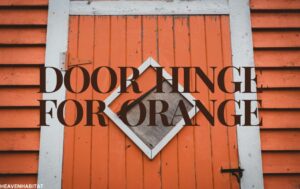 Door Hinge for Orange