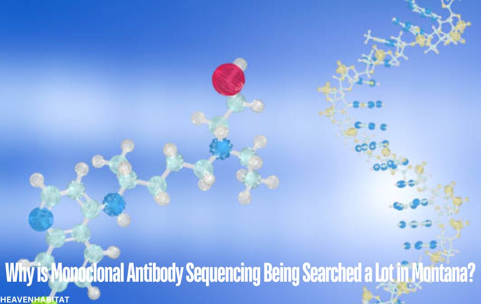 why is monoclonal antibody sequencing being searched alot in montana