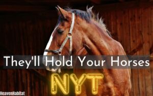 they'll hold your horses nyt