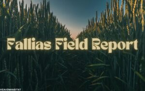 fallias field report