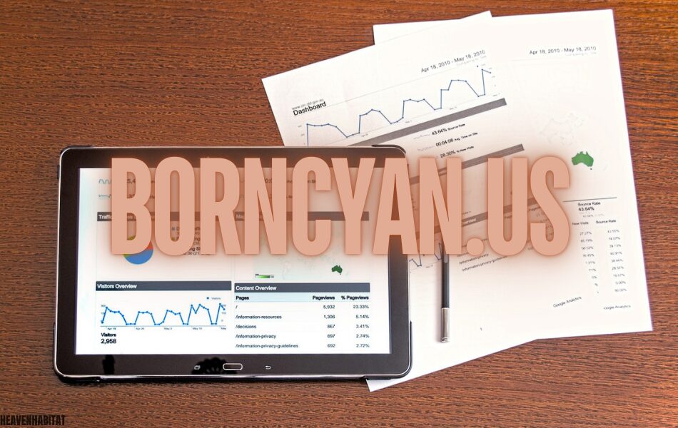 borncyan.us