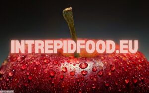 intrepidfood.eu