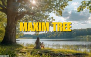 maxim tree