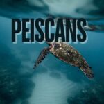 Peiscans: A Fascinating Dive into the Unknown