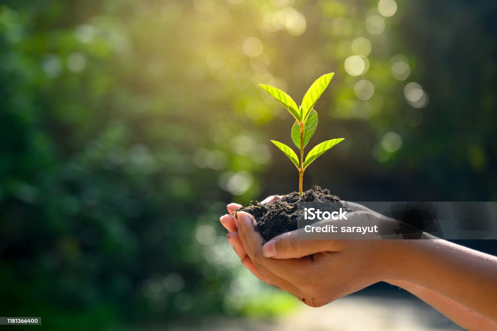 istockphoto 1181366400 1024x1024